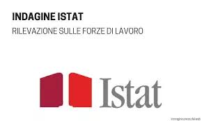 Rilevazione sulle forze di lavoro per il biennio 2026-2027